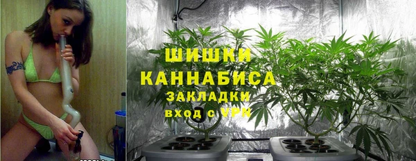 каннабис Алзамай