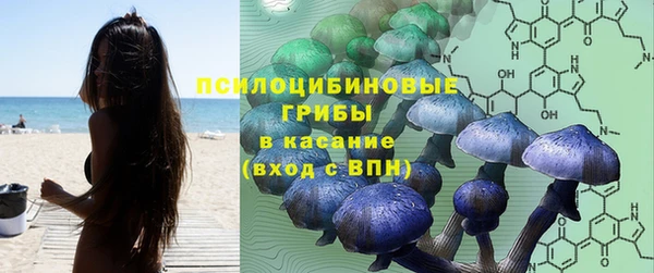 каннабис Алзамай