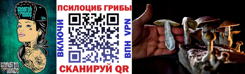 Псилоцибиновые грибы прущие грибы  купить  цена  Ленинск-Кузнецкий 
