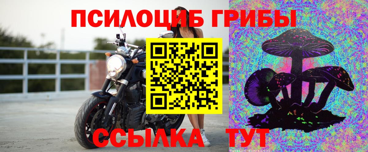 Ленинск-Кузнецкий  Псилоцибиновые грибы мицелий  Вход с VPN 